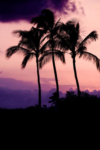 LAB_8742_001_Ewa Sunset
